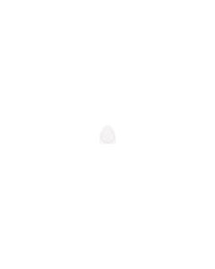 RFID Keyfob MIFARE Plus EV1 4K White-Lin